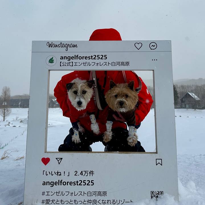 Ad40568b 6693 4ef2 9439 05d78a2ae129 1769780446454