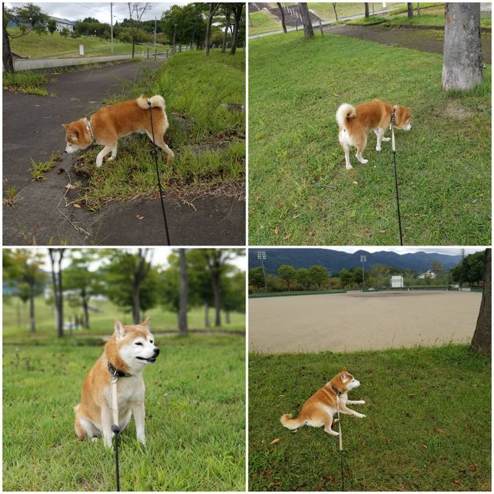 Ad407c85 c2a1 482a b6f7 e953d14ca4db 1663737901405