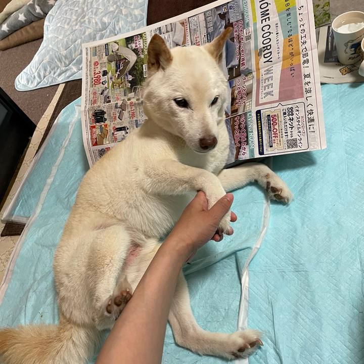 Ad408251 435e 4cb5 a14d 38d7c3f3c367 1653665001609