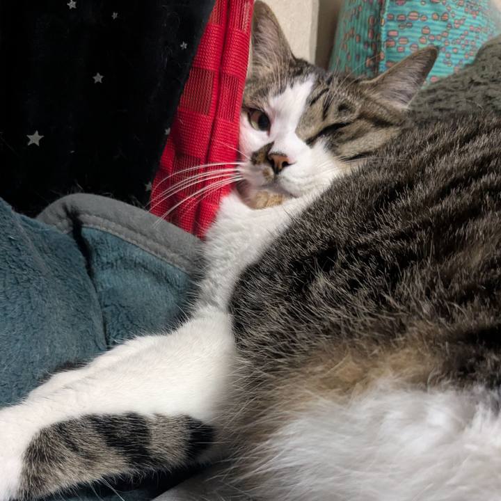 Ad4087d1 54f1 4f4c 948d e32a972589c9 1749860183689