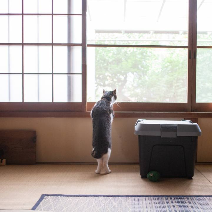 Ad40a536 5337 4380 8727 08b82773eed9 1562290211966