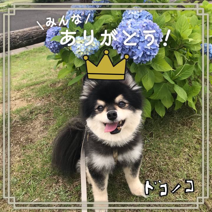 Ad40bb68 dfa7 45c8 b46a 46bf2a48d3d5 1622874783446