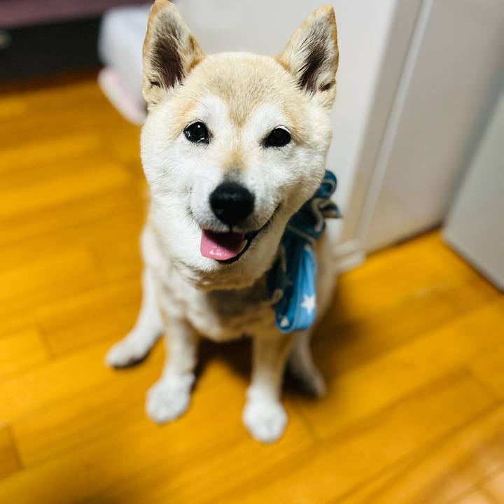 Ad40eede 5055 4199 a440 4e4cf588d09c 1749382974351