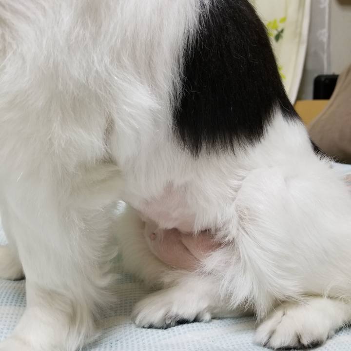 Ad410162 f1af 4443 9a76 9e7ac049cf58 1591524958414