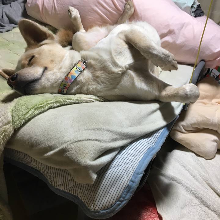 Ad41215f a5f7 44d4 a440 72c89dc2882b 1516491742353