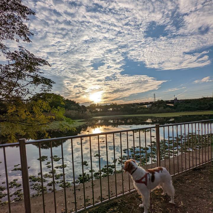 Ad416e2a b049 4fc5 8080 3e2d85abd712 1668947391023