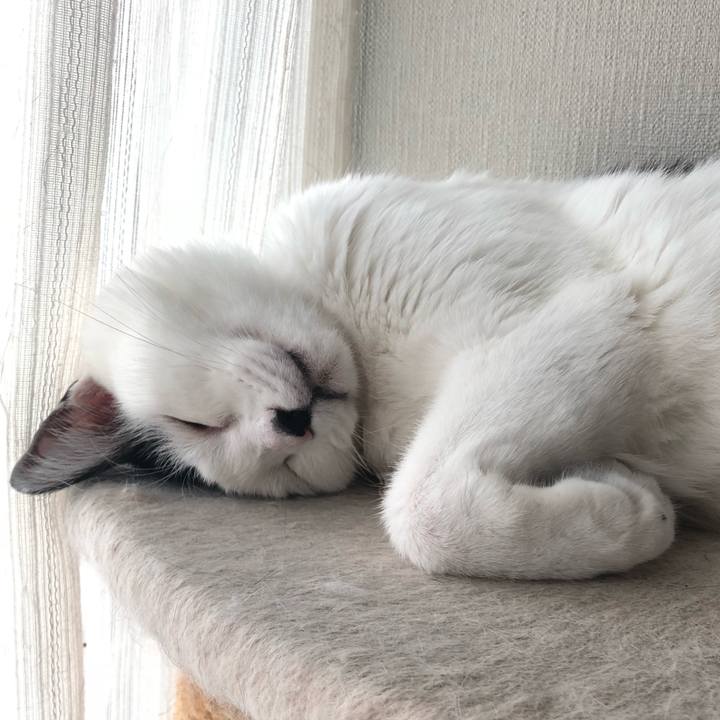 Ad41715c 998d 4889 b722 84f590ee238d 1537081079127