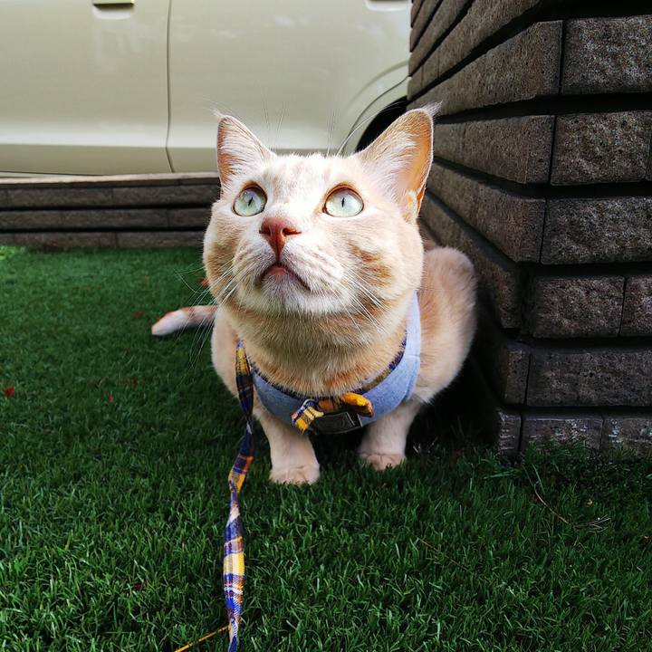 Ad4183ca 9c14 4bdb 8636 c6517b065a6a 1633046888617