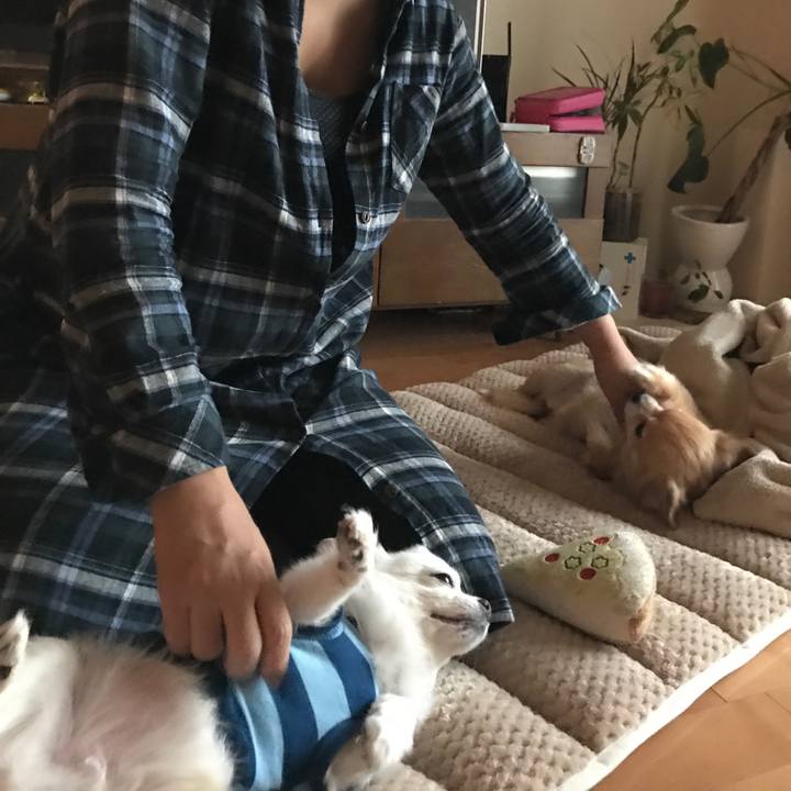 Ad419395 4fbf 4746 bf4c 73140b2807e0 1509400014607