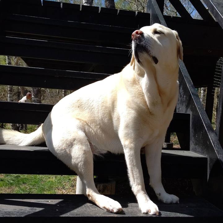 Ad419d44 e21d 4684 b6ab 799088f5ebb1 1683722600140