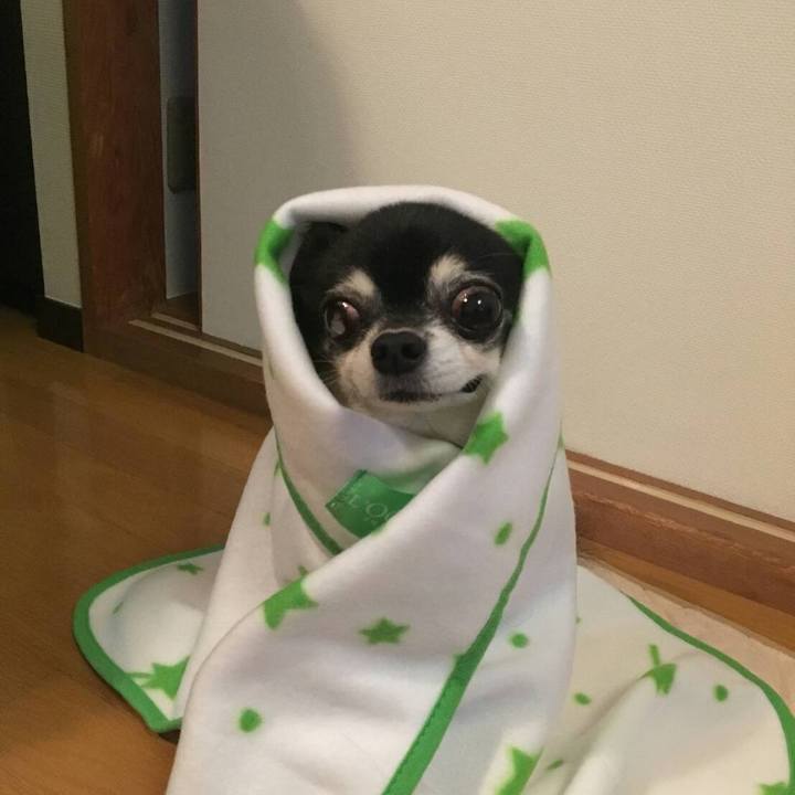 Ad41d163 2eb6 4671 8138 43f2f8b9cd2b 1543239460659