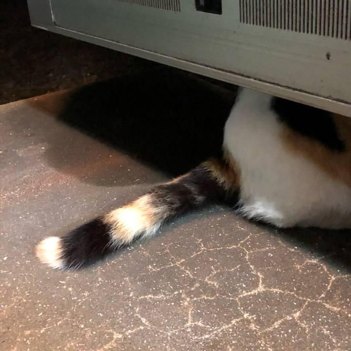 Ad41d8b1 b79f 4342 a1f2 03aef4d0c35b 1606307870776