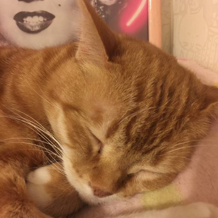 Ad4256a8 92d5 4073 9ce8 f18c19f2309b 1552580997865