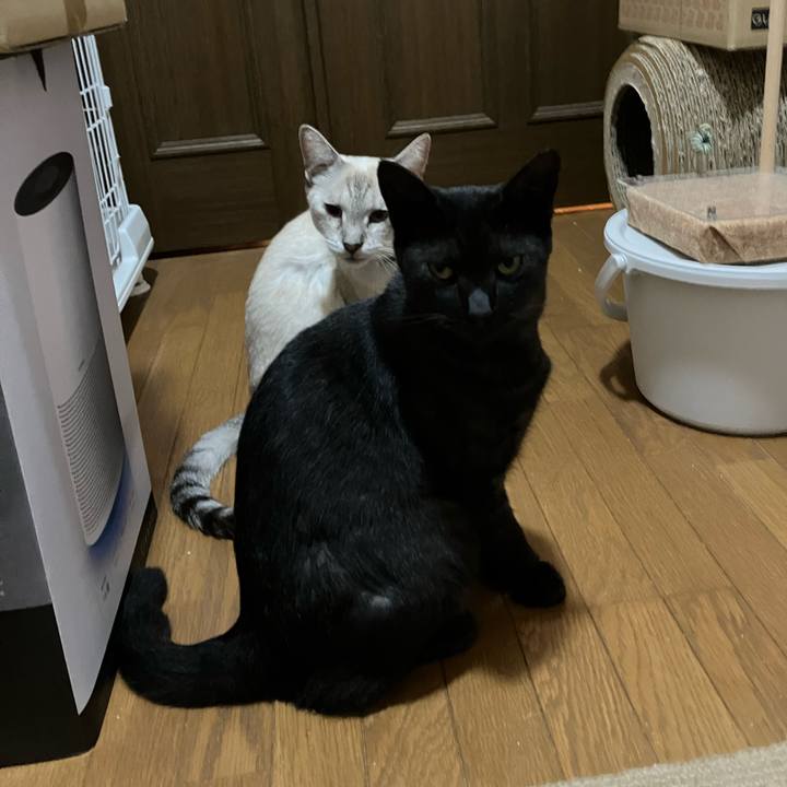 Ad425c37 4068 43b0 b298 6f4770fe8bdb 1764109164614