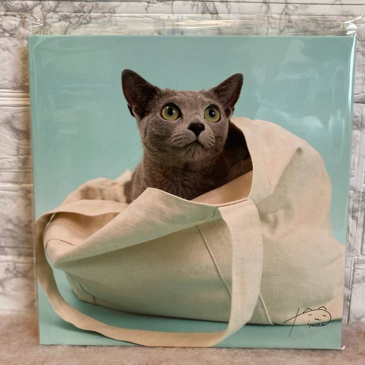 Ad428441 8254 436f afca 85f470fe16ec 1682251039535