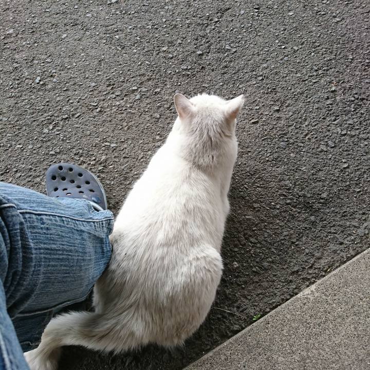 Ad42f55c 29a7 42e5 82e2 4f2e97c551b9 1527563287535