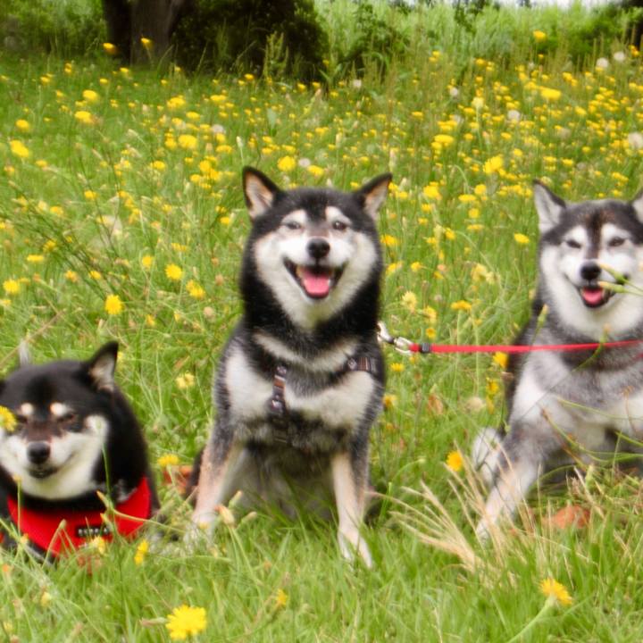 Ad42fdb6 6454 4298 b540 972d024a3a7b 1719700034894