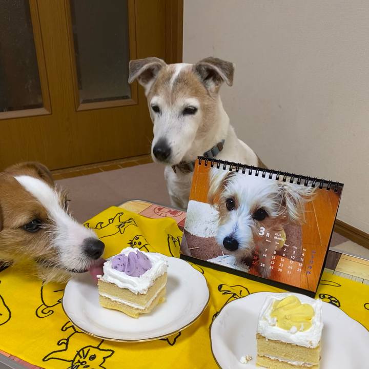 Ad432f09 6192 469d aeef 4f795224f5db 1646130393948