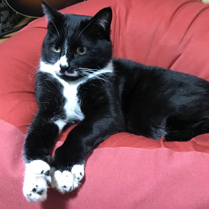 Ad434e39 d823 4c7d 997d 6d9420024fe4 1642390595914