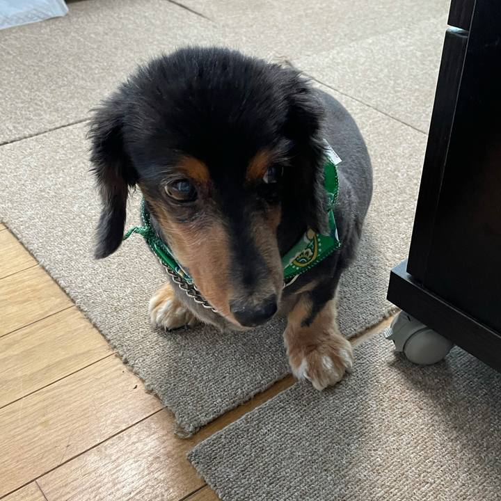 Ad435161 9ee6 4706 b65c de6fb9611bc5 1625176387376