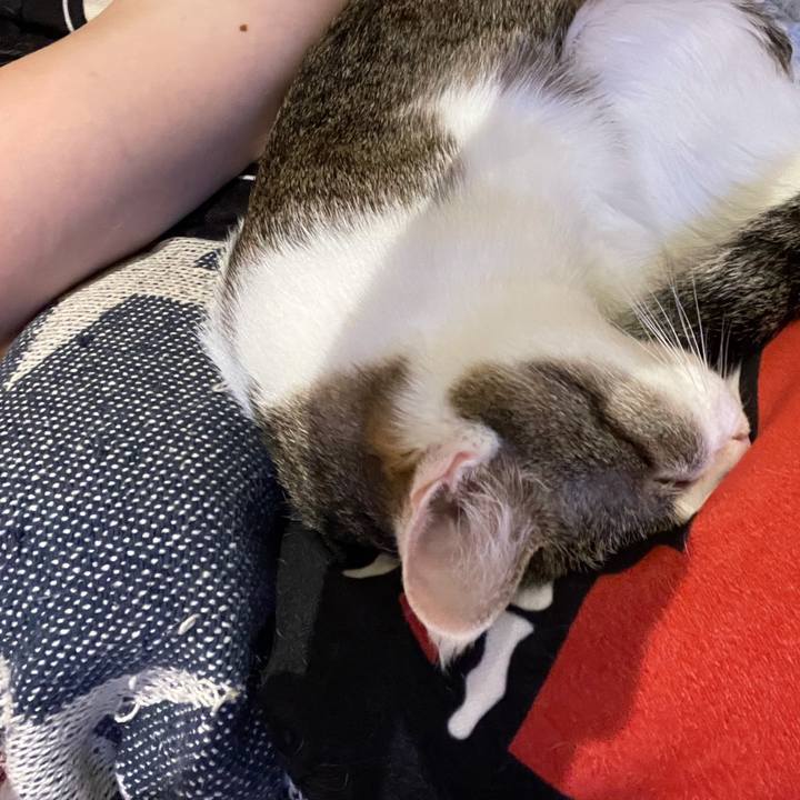 Ad435cad 988c 4be5 b457 a5f4c8d49734 1629026072804