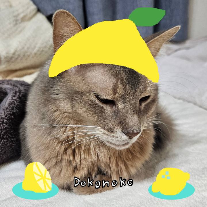 Ad4398dc 9bf9 4d7a be2c f350a7aa8276 1741241724133