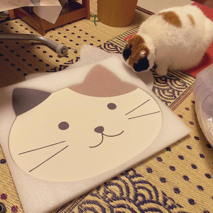 Ad439ba0 2c88 4b09 8a29 beaf246b353c 1565906223891