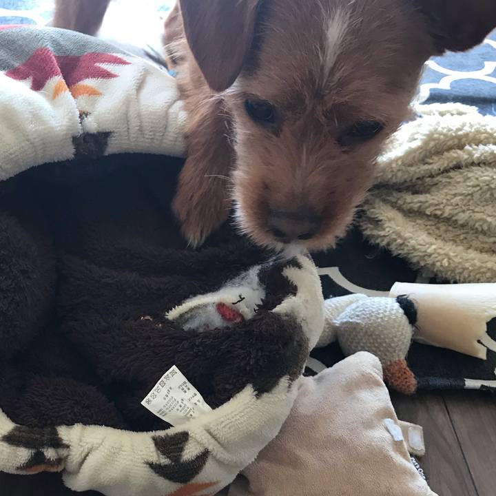 Ad43b1e4 cfb4 4265 ab75 4a40f685f887 1552096484348