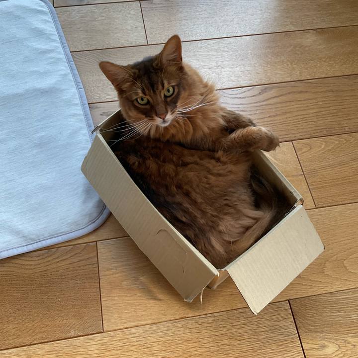 Ad43ee17 ce63 4782 8c77 a59d05a6f8ec 1720077351221