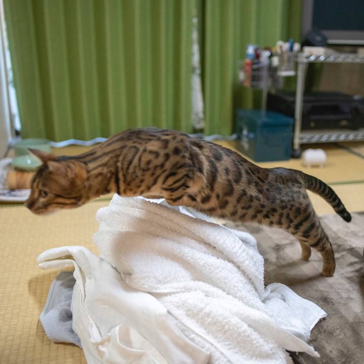 Ad442812 0eee 4f90 bd04 9b83162d4bd2 1530796723456