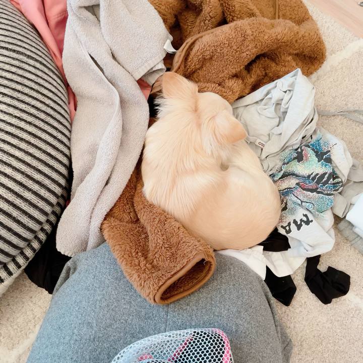 Ad4450f1 2ccb 4f7a a448 1d26d3bb76a6 1706340192132