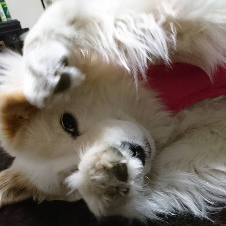 Ad4455cb 2683 4a85 b08a b3371b91b8a6 1522962367901