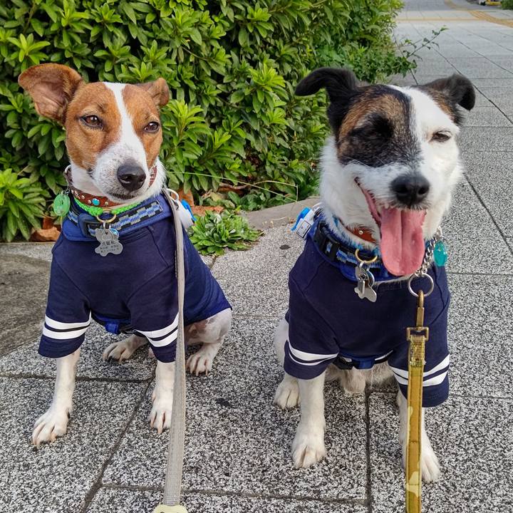 Ad447768 5eca 42da b69f 98d49b2f8487 1630361168549