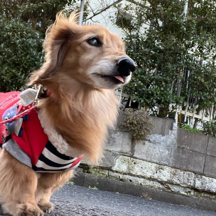 Ad448437 1ccc 465e 96cb bf1f6ecec67c 1677500158194