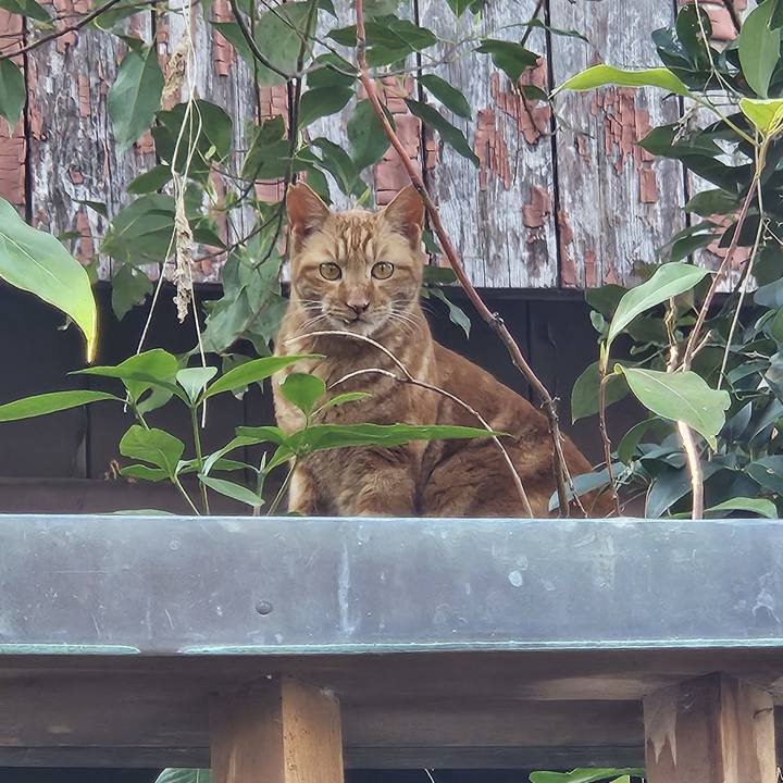 Ad44a712 6cbd 4714 b32b 9bd14313aaab 1742715864090