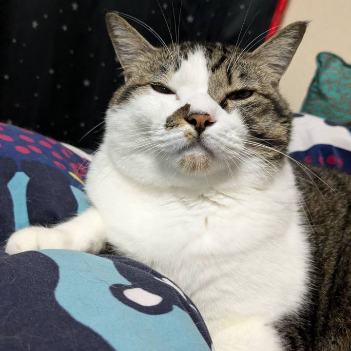 Ad44b7aa fe96 44e9 88f4 851032407ebd 1731676747008