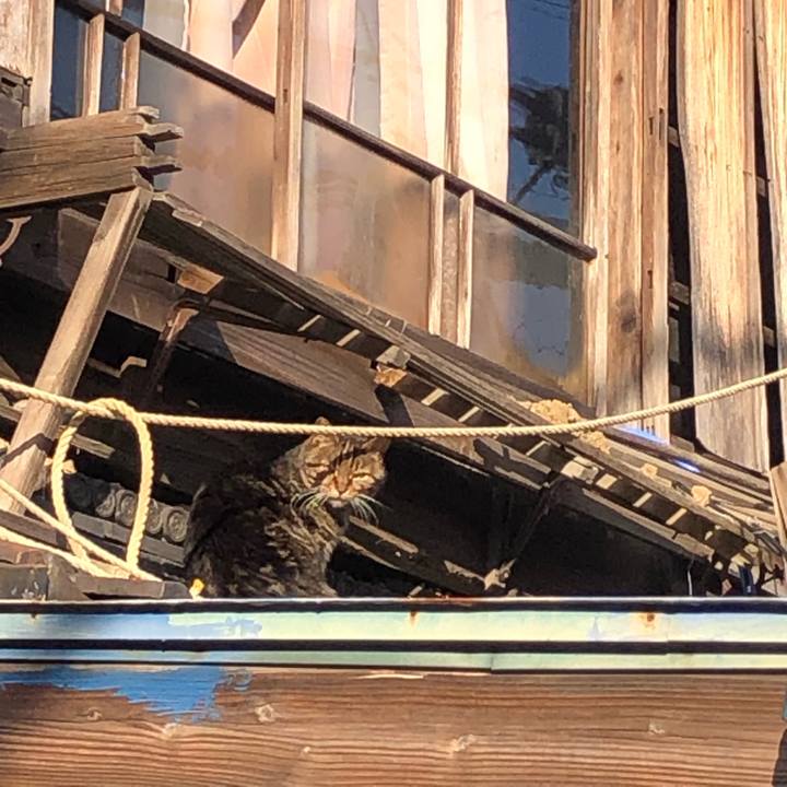 Ad44baab 30b5 4ca2 a5a8 d5df38c6a5ef 1644050168676