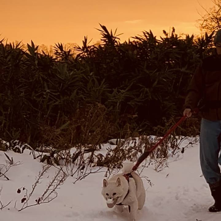 Ad44be56 5a97 4fbc 98e3 fc08f2d17cce 1763596278007