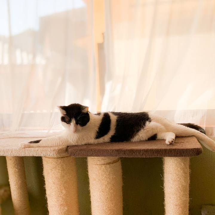 Ad44c2b4 5d6c 4dd1 90fd 1ab8c9866c74 1594865906513