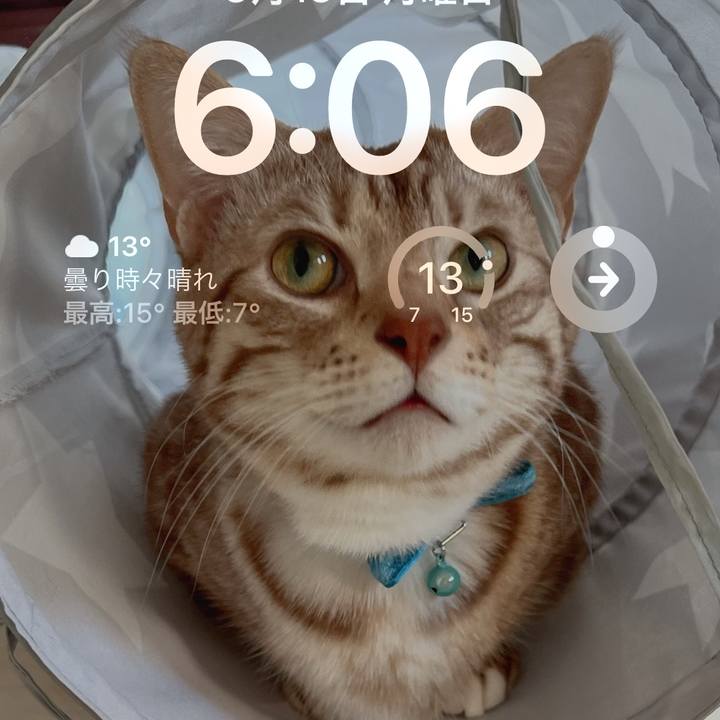 Ad44cae7 7a9c 4f72 aa30 8ac95f5f92aa 1678660394708