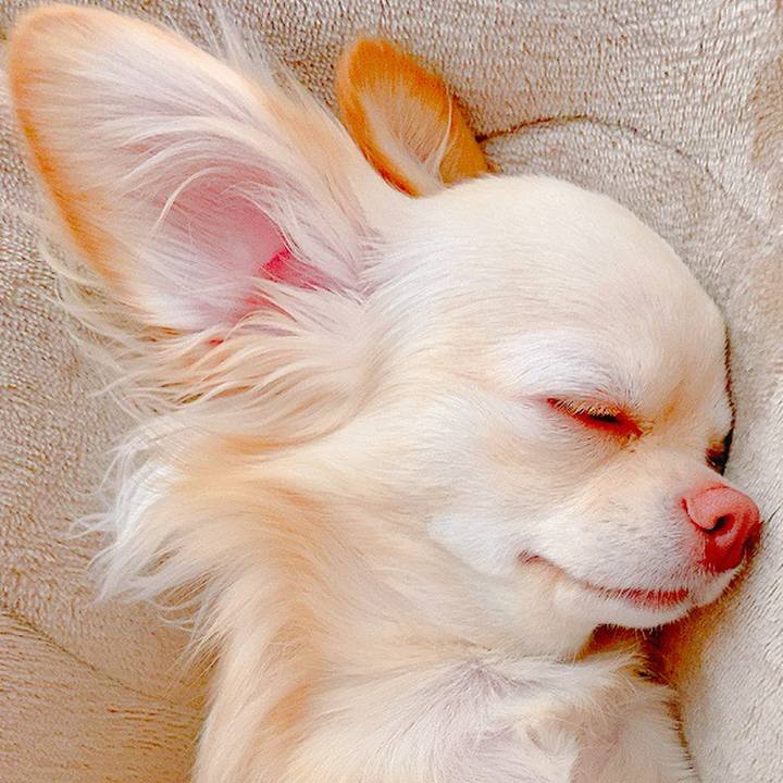 Ad44cae8 e50d 47ec 9707 77f02402f5ad 1620551662487