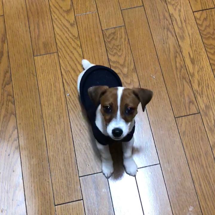 Ad4523b6 d4c0 4bc8 bb7a 12e88a905438 1514685060187