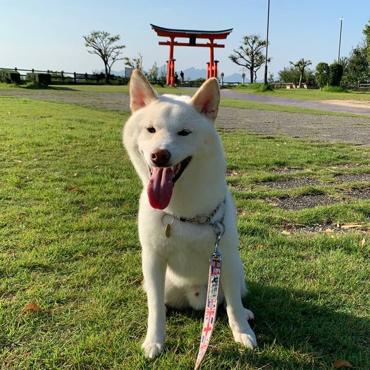 Ad452adf 8004 44c9 afc2 bb4e24ad2c8f 1569790792291