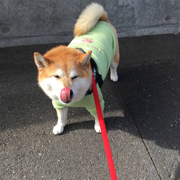 Ad456637 2d50 4108 ae83 cdc7026e136e 1575515326173