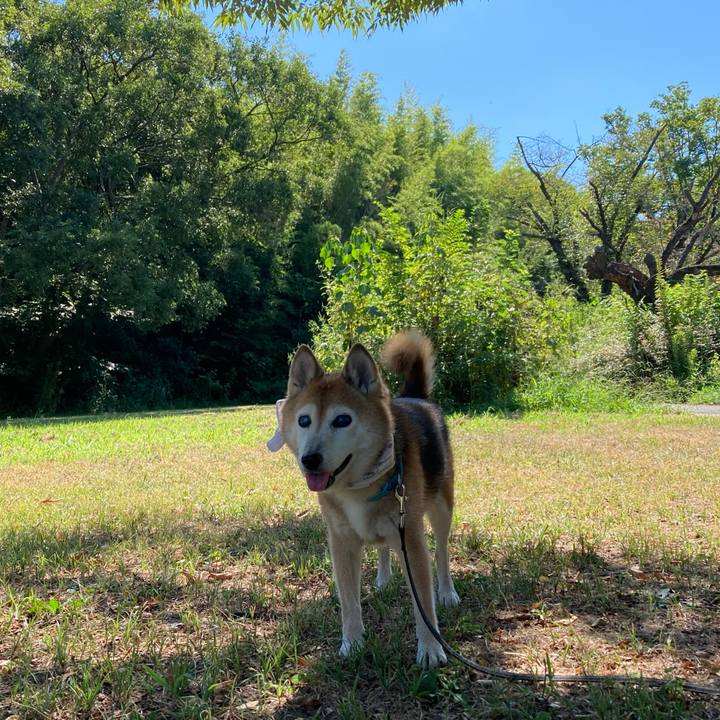 Ad45774b 3a07 4e52 b8da 51edd8b3c983 1756777518071