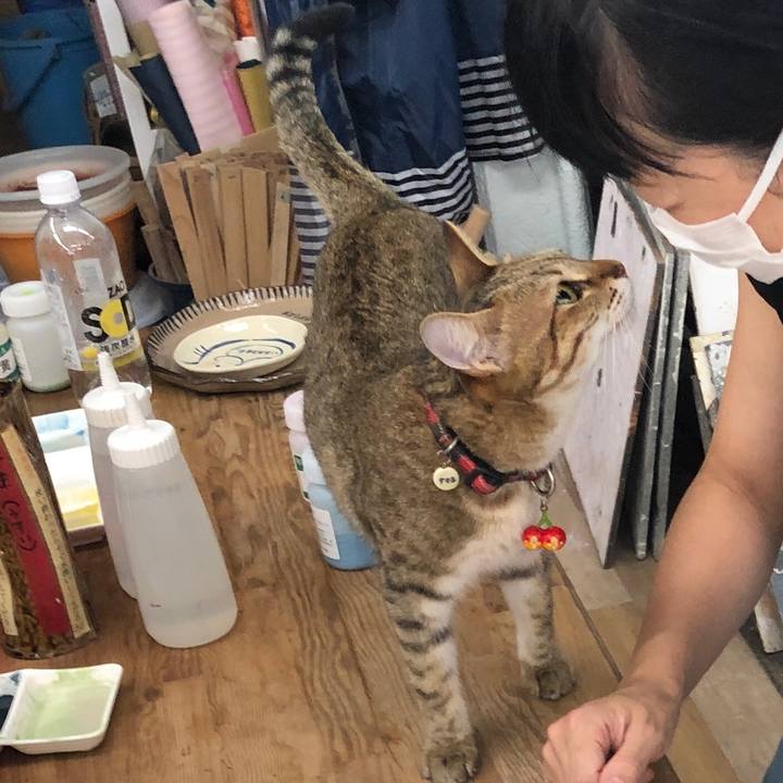 Ad457daf 6226 4679 80d7 7e0e6d155c47 1628478623872