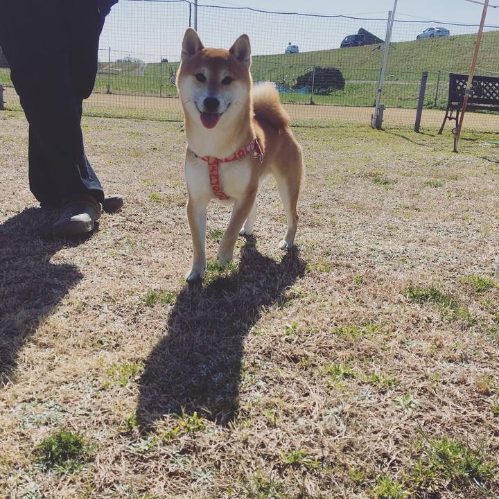 Ad4586c9 8d8e 45ed bcf5 b289609d6e1c 1520662603497