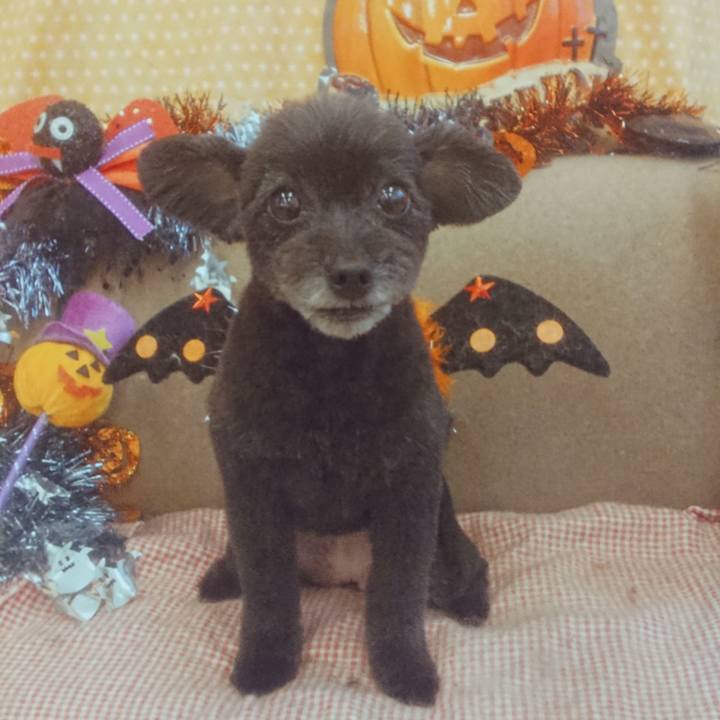 Ad45d0f5 9d0d 41c8 ac51 92de1814a141 1570349605085