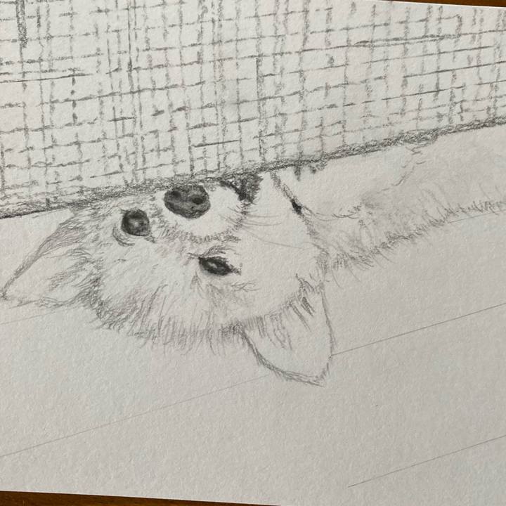 Ad461091 13d0 49bb 802e 54cd464ac648 1652772387547