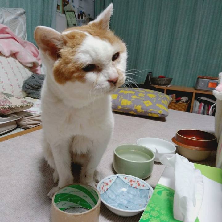 Ad4617d0 d2ae 46c5 ac44 db61e591ba81 1614853309605